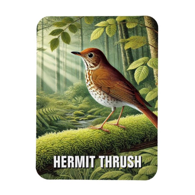 Vermont State Bird Hermit Thrusch Magnet (Vertikal)