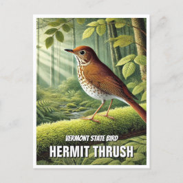 Vermont State Bird Hermit Thrusch Vykort
