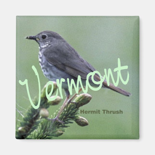 Vermont State Bird Hermit Thush Fridge Magnet (Framsidan)