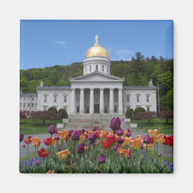 Vermont State House-Montpelier Magnet (Framsidan)