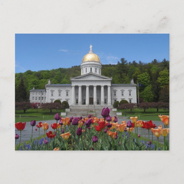 Vermont State House-Montpelier Vykort (Framsida)