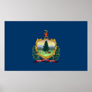 Vermont statlig flagga poster