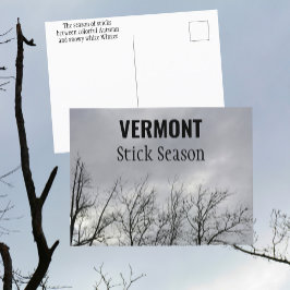 Vermont Stick Season New England Fotografisk Vykort