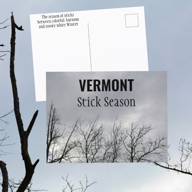 Vermont Stick Season New England Photographic Vykort (Skapare uppladdad)