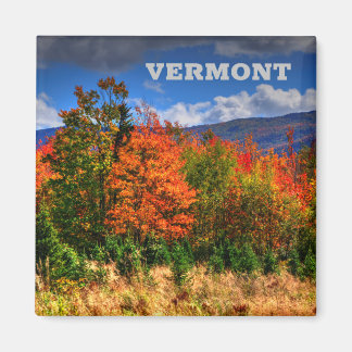 Vermont Travel Magnet som visar förändringarna i f