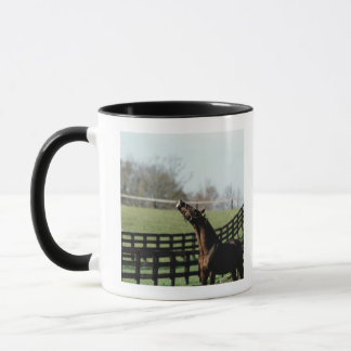 Vermont USA 2 Mugg