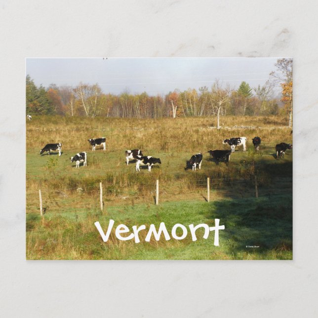 Vermont Vykort (Framsida)