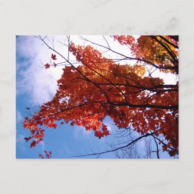 Vermont vykort 1 (Framsida)