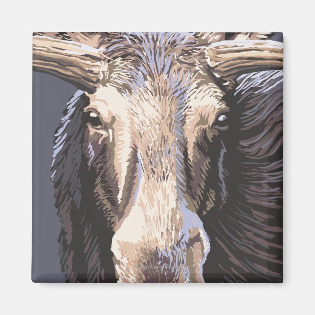 VermontMoose Up Close Magnet (Framsidan)