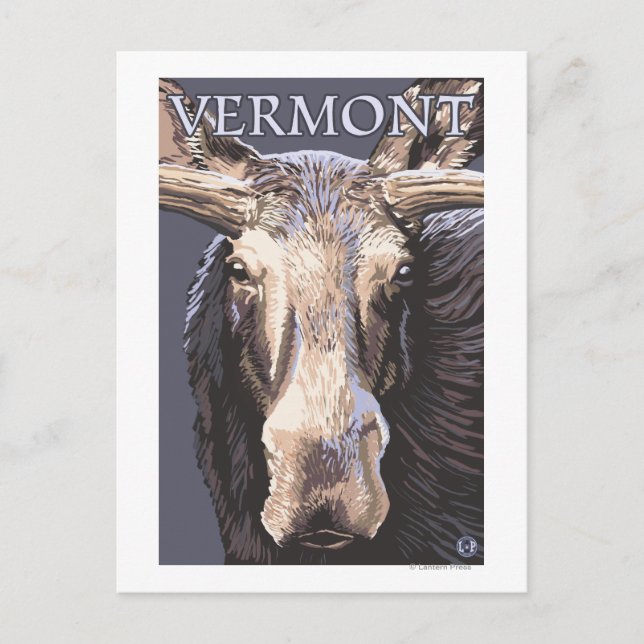 VermontMoose Up Close Vykort (Framsida)
