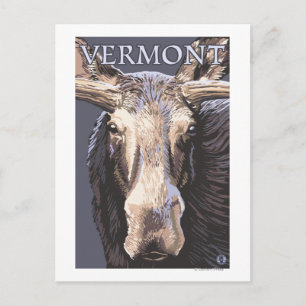 VermontMoose Up Close Vykort