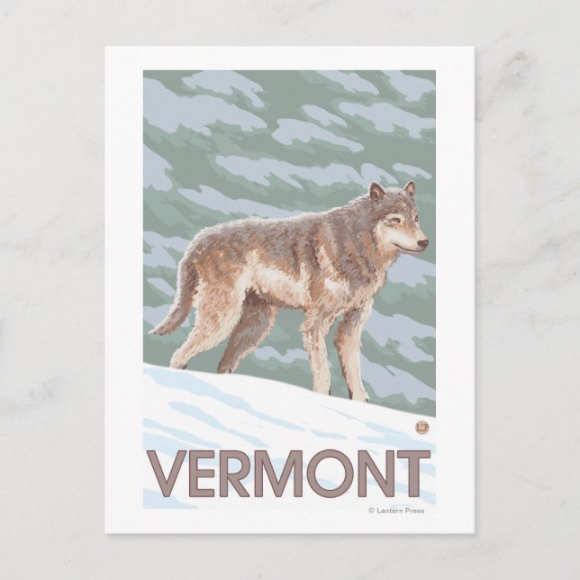 VermontWolf Scene Vykort (Framsida)