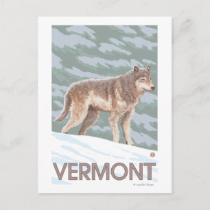 VermontWolf Scene Vykort