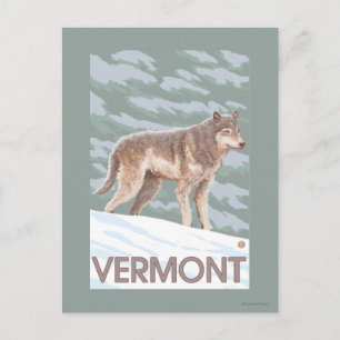 VermontWolf Scene Vykort