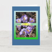 Vernal krokus för dagjämning 2012