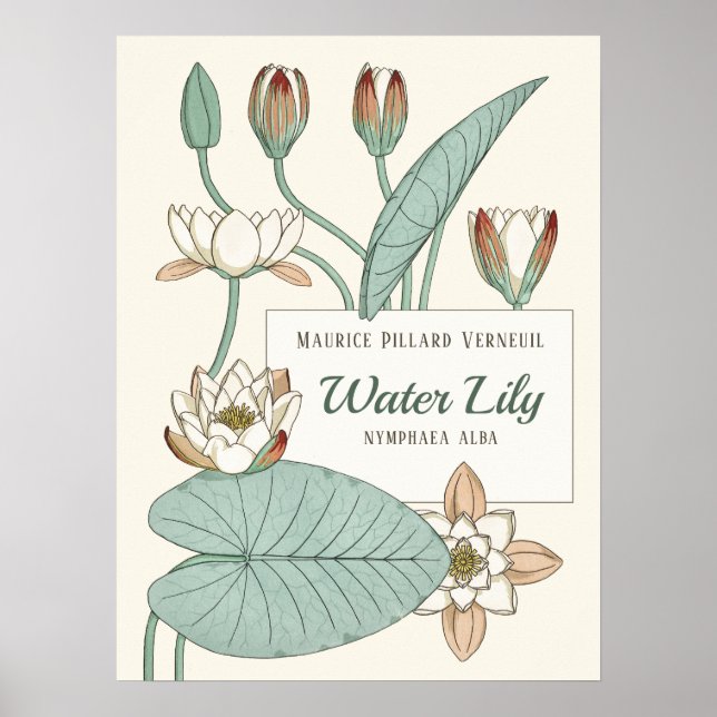 Verneuil Vatten lily Decorative Art nouveau Poster (Framsidan)