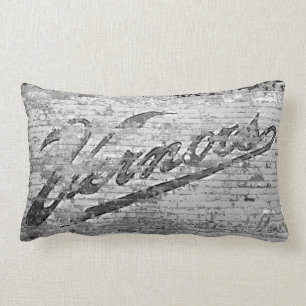Vernors tegelstenvägg Ann Arbor Michigan Lumbarkudde