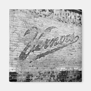 Vernors vägg Ann Arbor 1999 Michigan Magnet