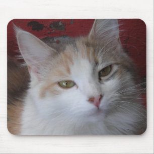 Veronica den vackra - Mousepad Musmatta