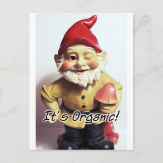 Veronica Gnome Vykort