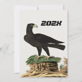 Verreaux Black Eagle | Vild Bird Illustration Kid Inbjudningar