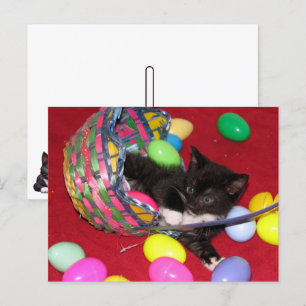 Versace's Påsk Önskemål Cat /Kitten Helg Vykort