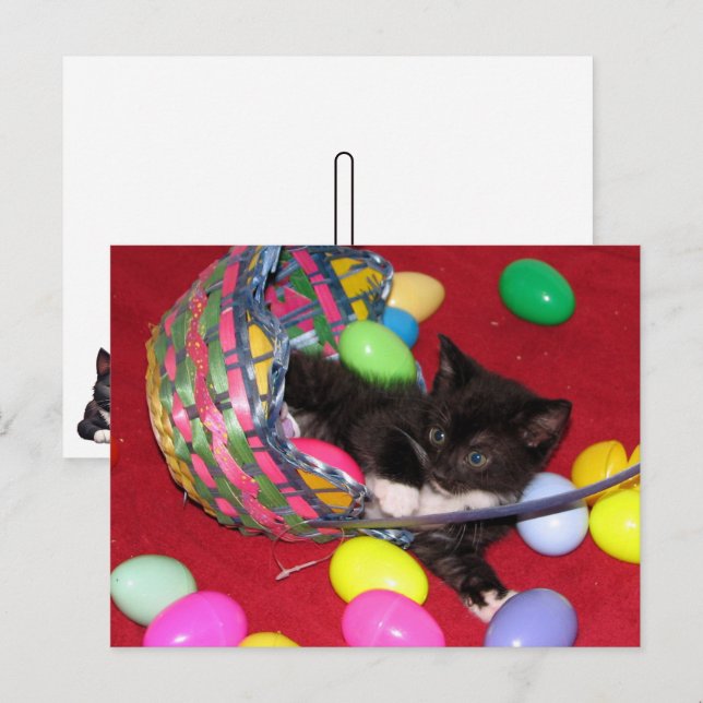 Versace's Påsk Önskemål Cat /Kitten Helg Vykort (Fram/baksida)