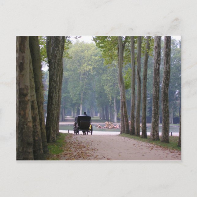 Versailles buggy 1 vykort (Framsida)