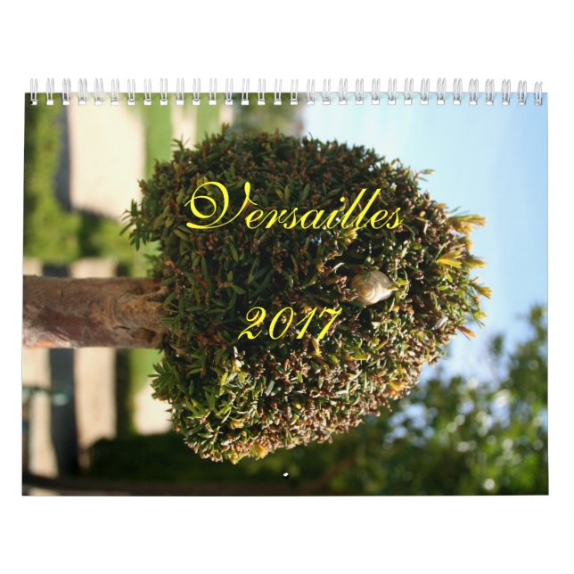Versailles kalender 2017 (Omslag)