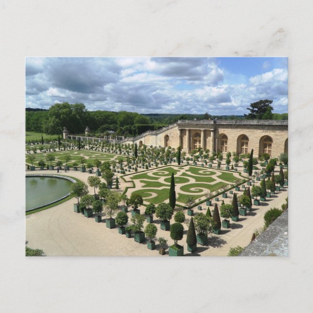 Versailles Orangerie Frankrike Gardens PostCard Vykort (Framsida)