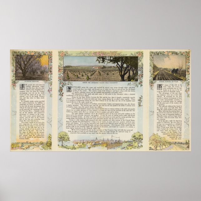 Verso Alameda County Poster (Framsidan)