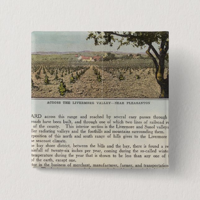 Verso Alameda Knapp (Framsida)