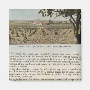 Verso Alameda Magnet