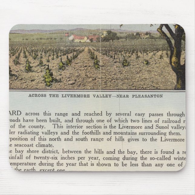 Verso Alameda Musmatta (Framsidan)