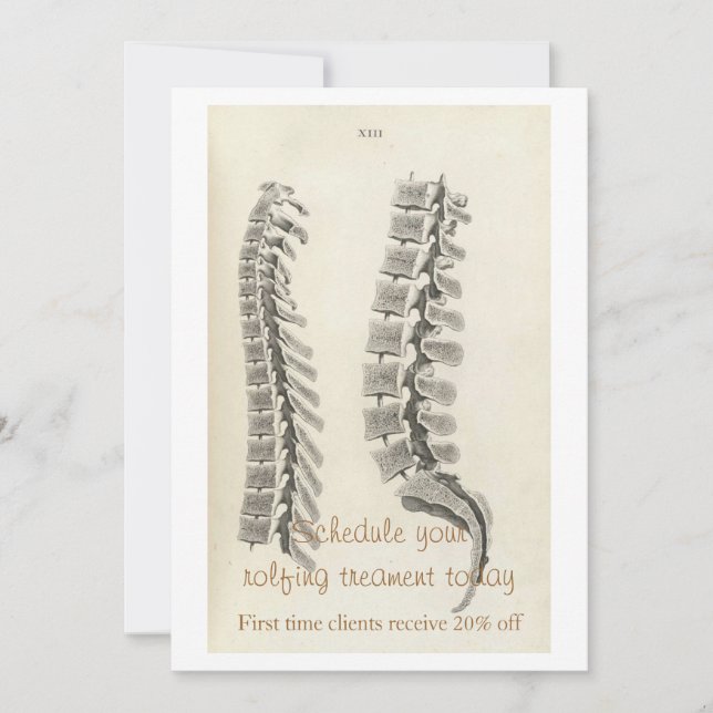 Vertebrae Teckning (Framsida)