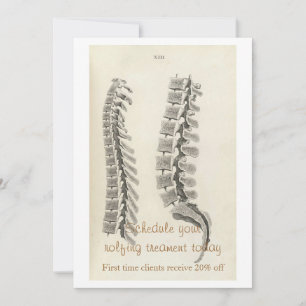 Vertebrae Teckning