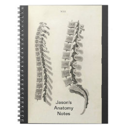 Vertebrae Teckning Anteckningsbok Med Spiral