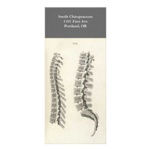 Vertebrae Teckning Reklamkort