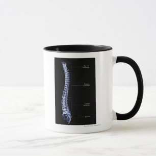 Vertebral kolonn 4 mugg