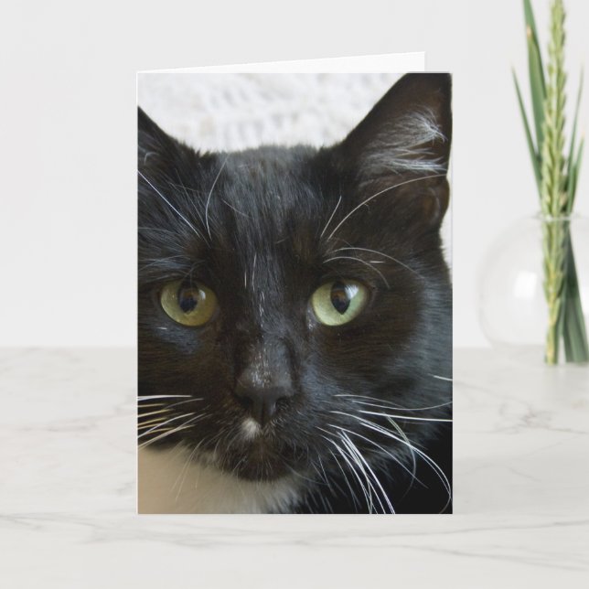 Vertikalt hälsningkort: Lilly katten Kort (Framsida)