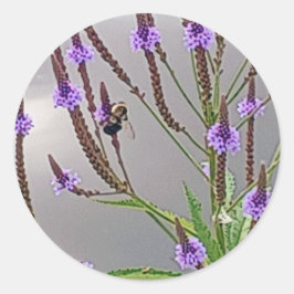 Vervain Sticker Runt Klistermärke