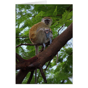 Vervet Monkey Mor och Child Card Hälsningskort