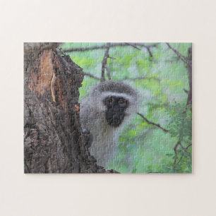 Vervet Monkey Pussel