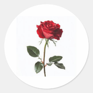 Very beautiful, 👍 nice design runt klistermärke