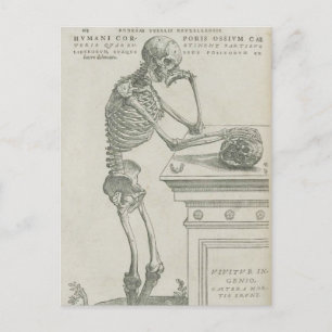 Vesalius Skeletal Image Vykort
