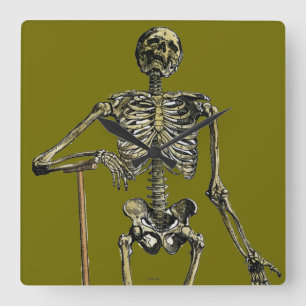 Vesalius: Skeletal system Fyrkantig Klocka