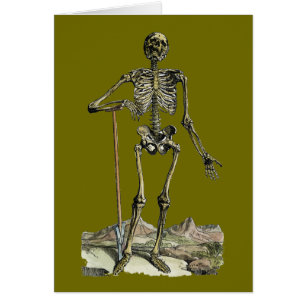 Vesalius: Skeletal system OBS Kort