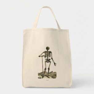 Vesalius: Skeletal system Tygkasse