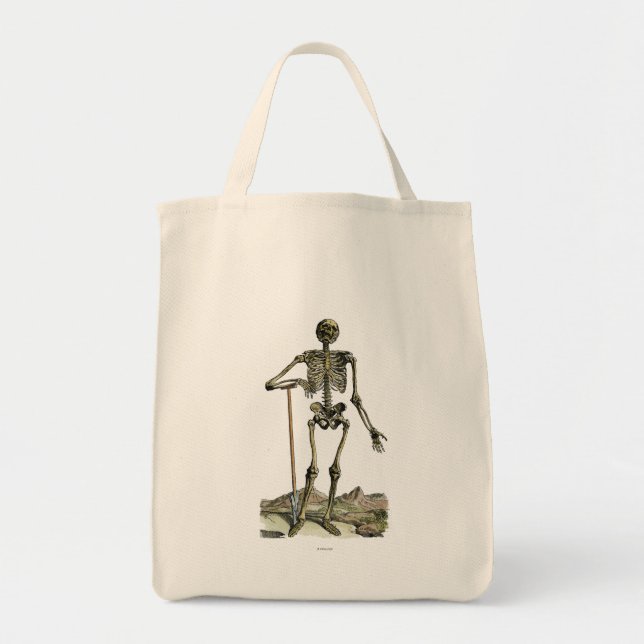 Vesalius: Skeletal system Tygkasse (Framsidan)
