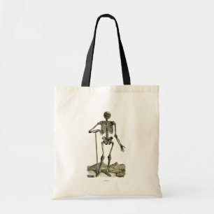 Vesalius: Skeletal system Tygkasse